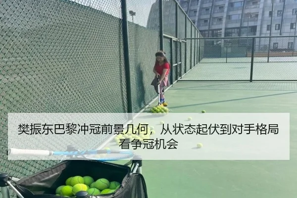 樊振东巴黎冲冠前景几何，从状态起伏到对手格局看争冠机会